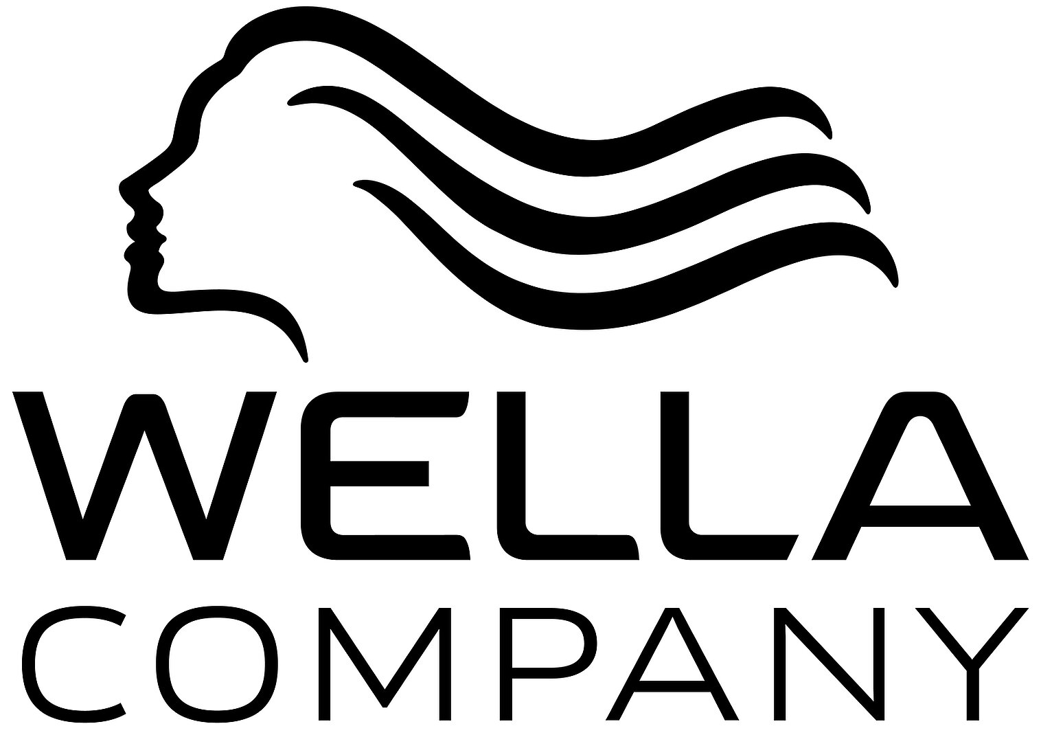 Logo Wella Company