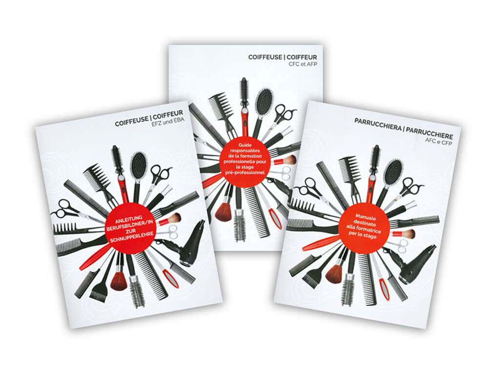 Flyer «Anleitung Schnupperlehre für Berufsbildner»